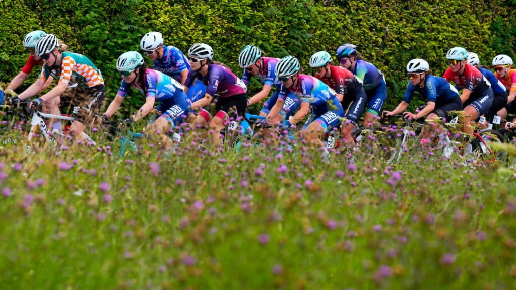National Series Witheridge