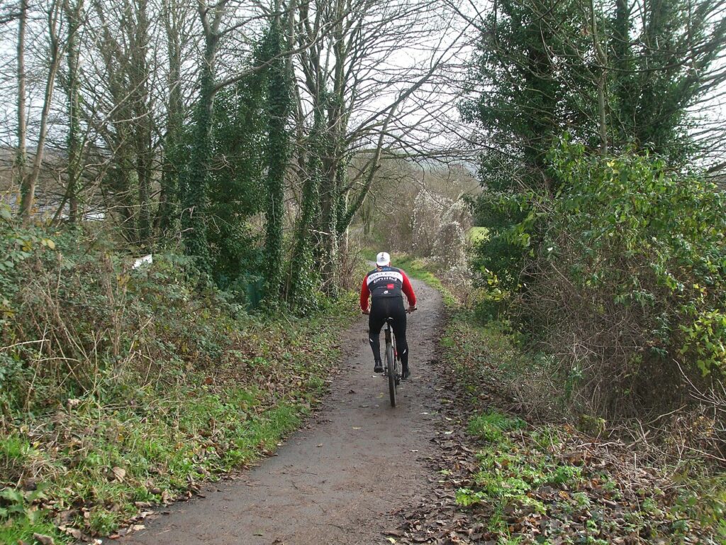 On the Strawberry Line (Neil Owen)
