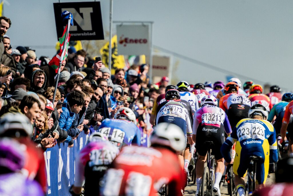 aterberg, Tour of Flanders gallery 2026_2026