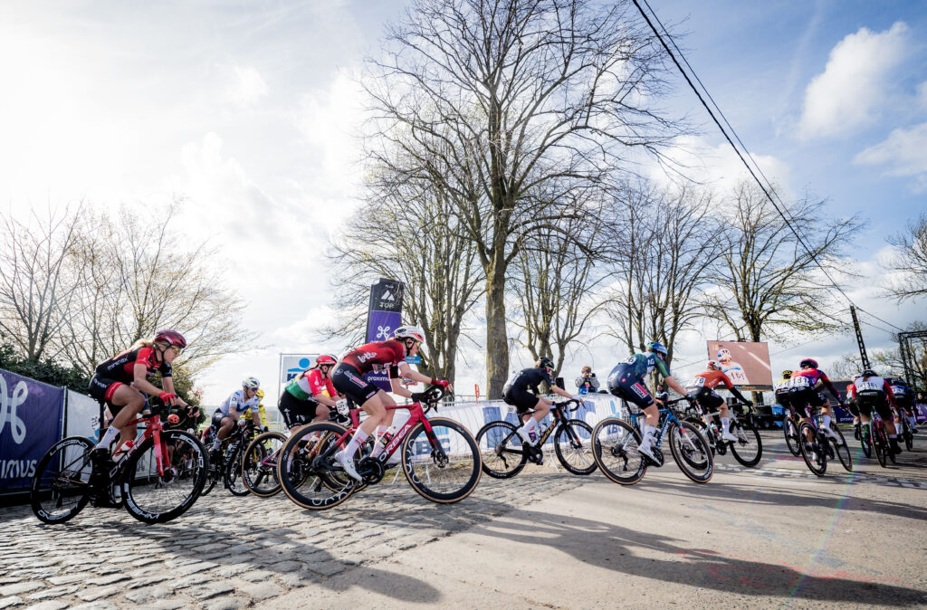 aterberg, Tour of Flanders gallery 2026