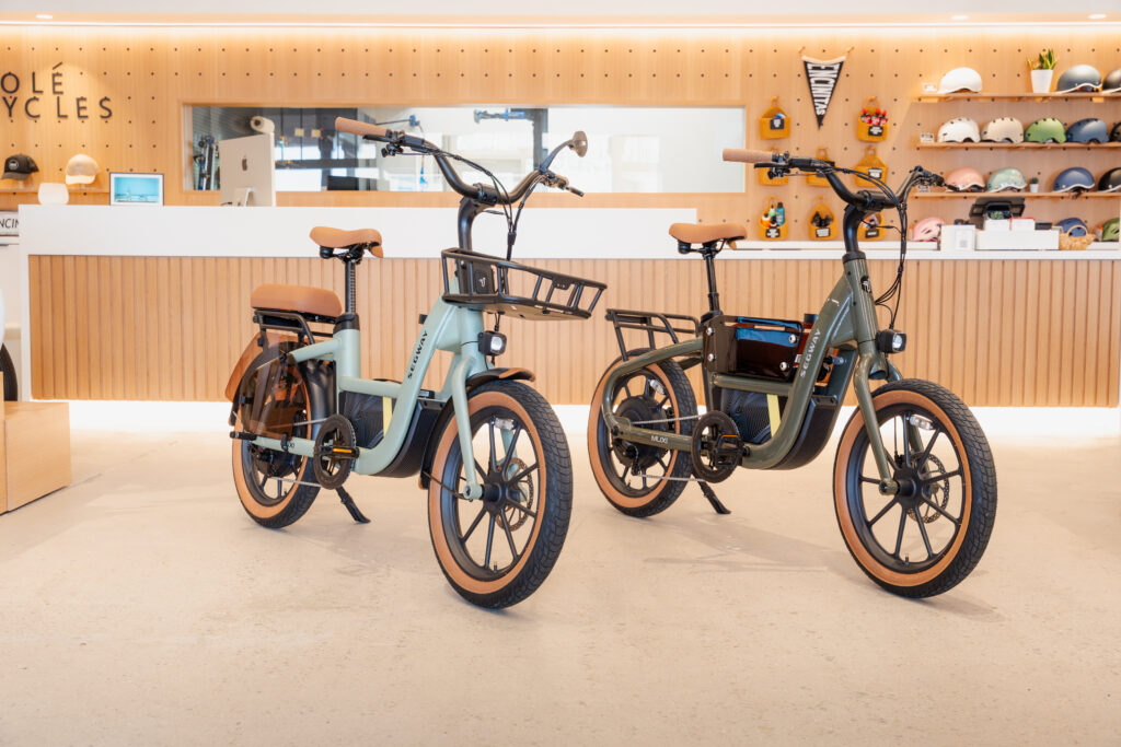 Segway MUXI e-bike