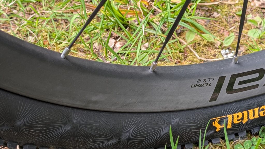 Roval-Terra-III-CLX-spokes.jpg