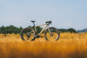 2026 mondraker dusty hero