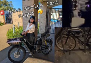 Layla Moran e-bike stolen