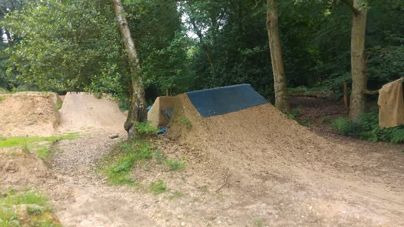 Hodgemoor Woods bike jumps before removal 2