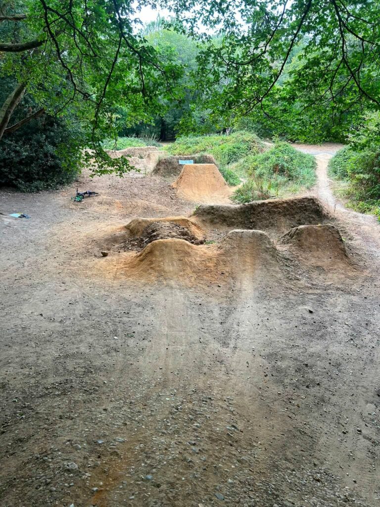 Hodgemoor Woods bike jumps removed