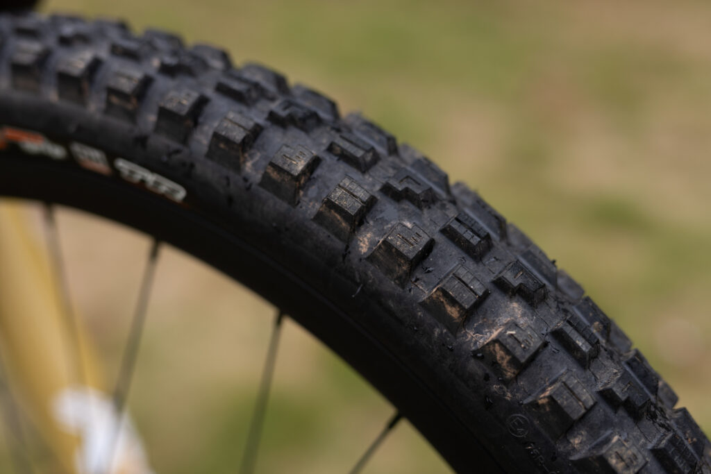 2026 maxxis minion dhx shoulder