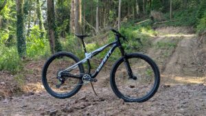 Anthem Advanced SL 2 Main
