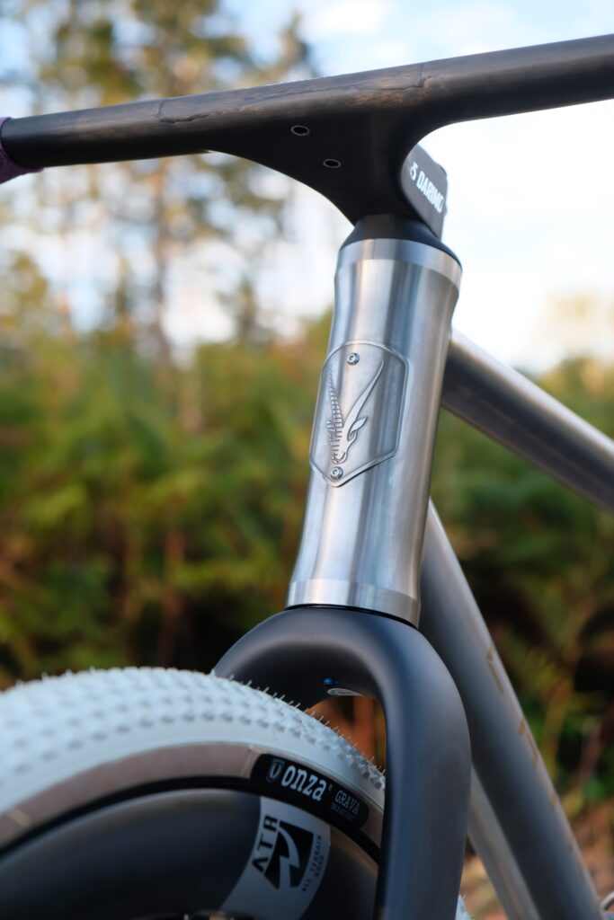 2026 VAGUS-i gravel bike outside, head tube