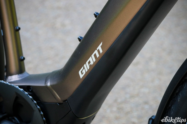 2024 Giant Explore E - downtube logo.jpg