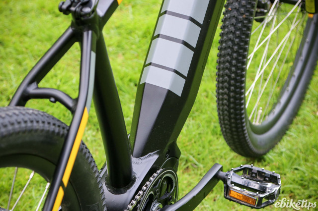 2024 Shark Hammerhead - downtube profile.jpg