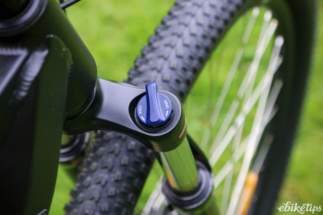 2024 Shark Hammerhead - fork detail.jpg
