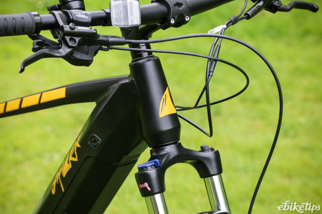 2024 Shark Hammerhead - head tube badge.jpg