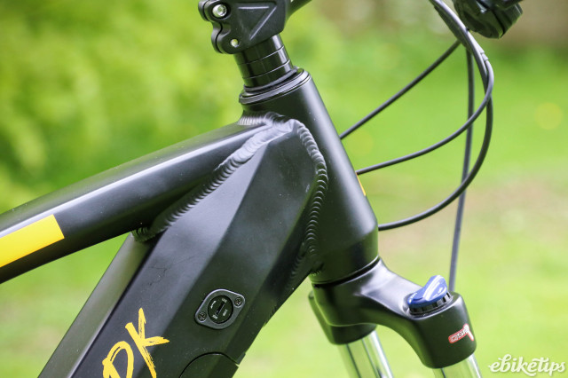 2024 Shark Hammerhead - head tube.jpg