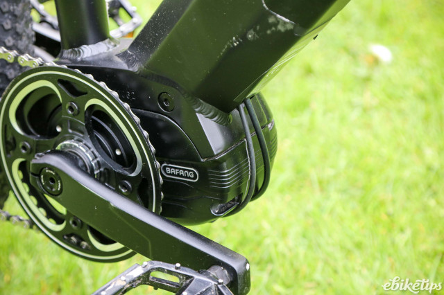2024 Shark Hammerhead - motor detail.jpg
