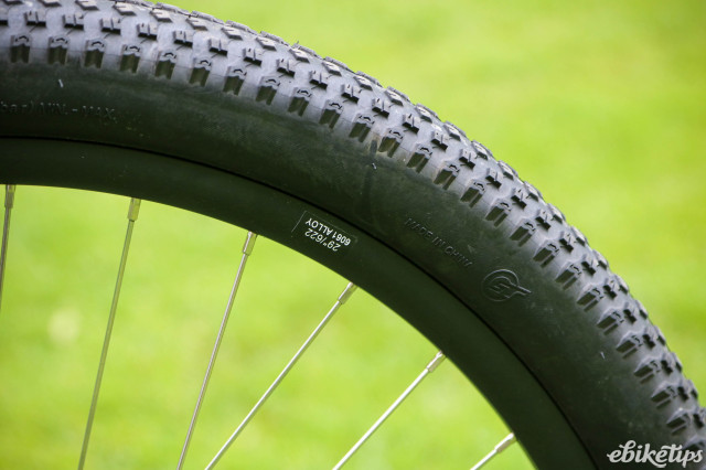 2024 Shark Hammerhead - tyre and rim.jpg
