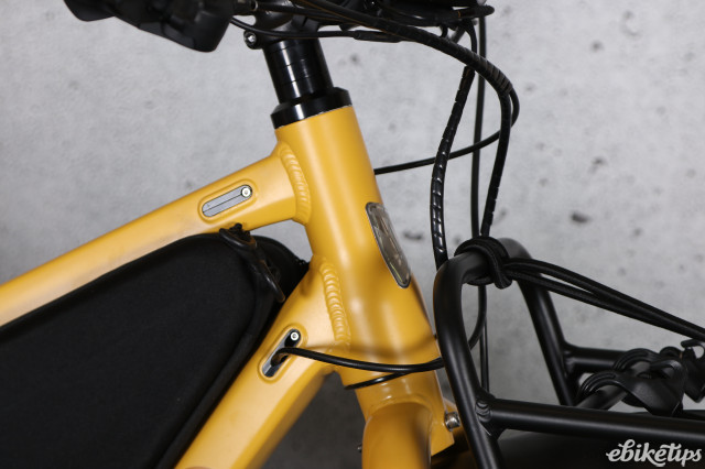 2024 Tern Orox - head tube.JPG