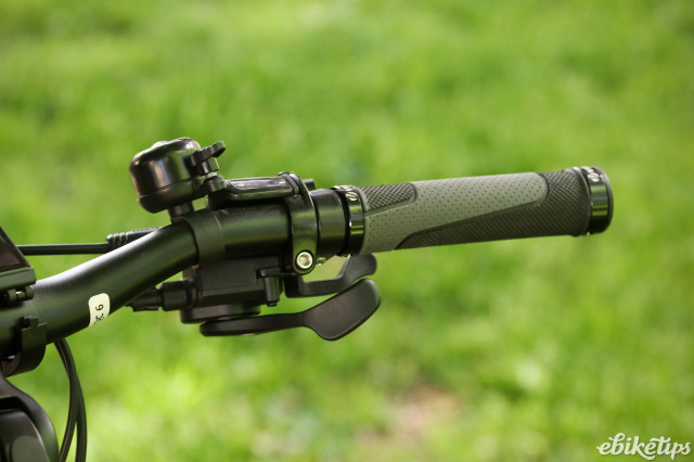 2024 ecobike Cargo - thumbshifter.jpg