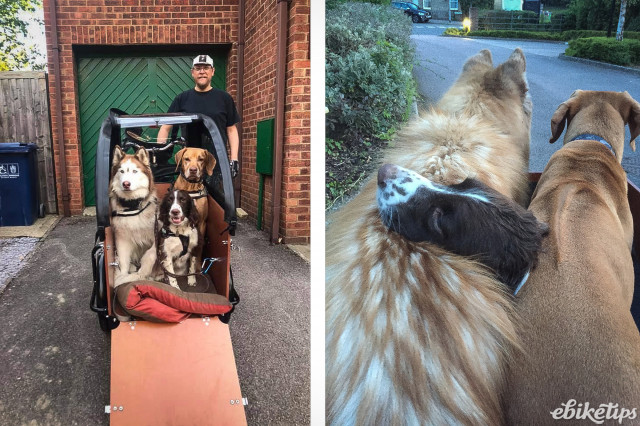 Babboe Dog-E 01a - John with dogs copy.jpg