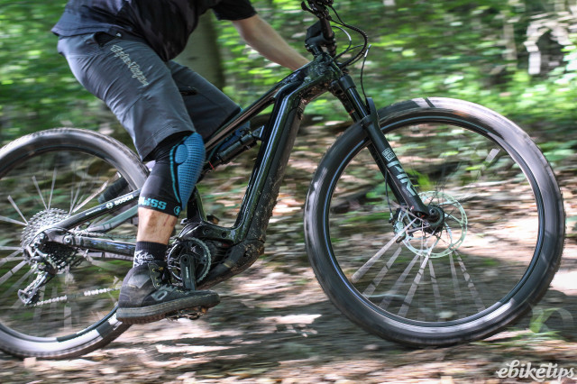 Bosch Logan riding -1.jpg