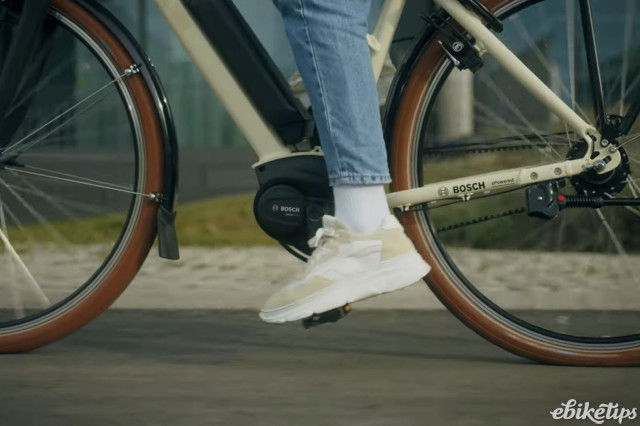 Bosch riding.jpg