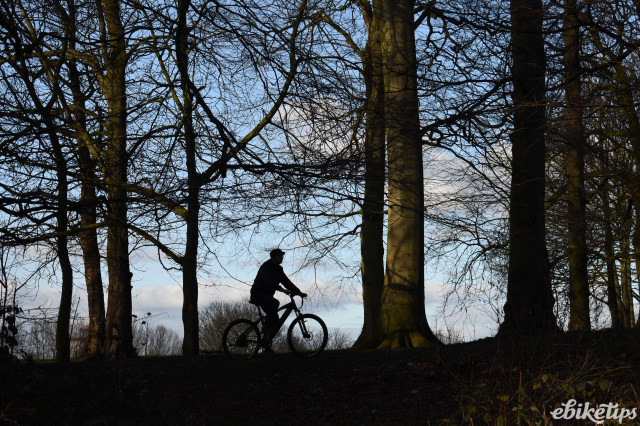 Dallingridge Coniston riding 8.JPG