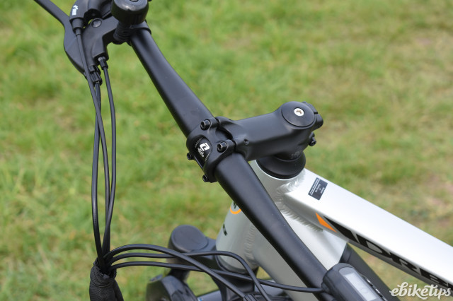 Dallingridge Malvern stem.JPG