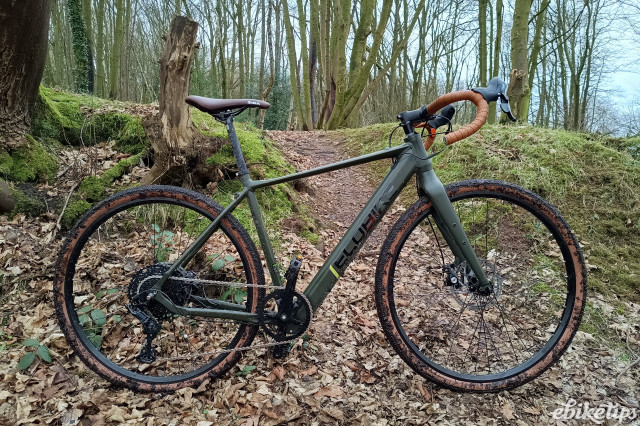 Ecobike Forest 3.jpg