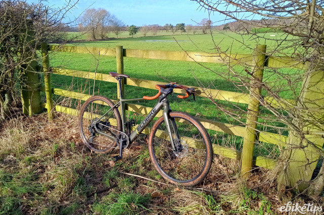 Ecobike Forest 4.jpg