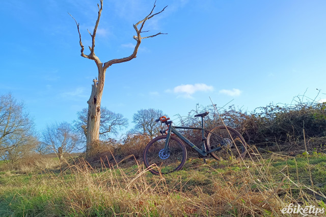 Ecobike Forest 5.jpg