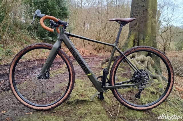 Ecobike Forest reverse side.jpg