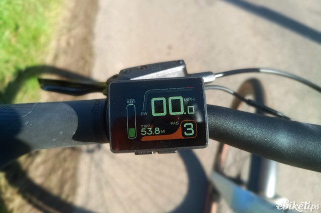 Estarli e28.X display.jpg