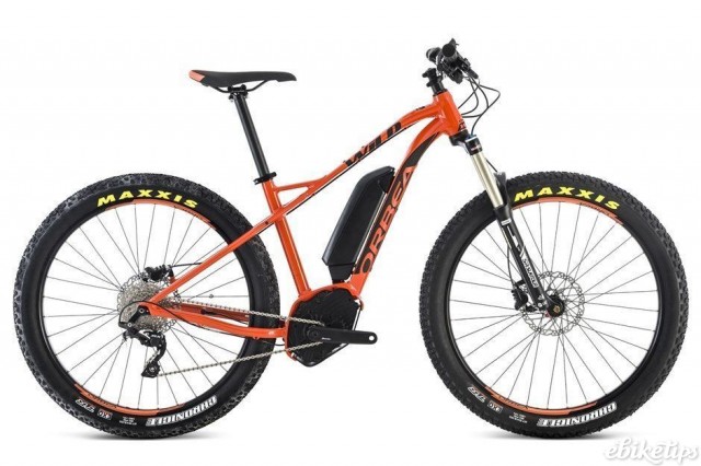 Orbea WILD 30
