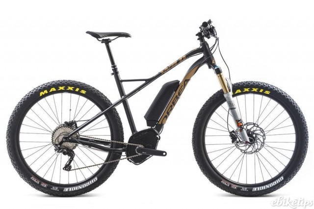 Orbea WILD 10