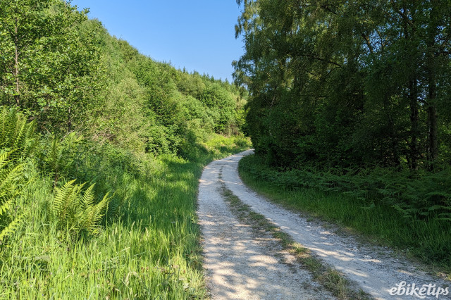 Glorious Gravel out of Duncombe Park.jpg