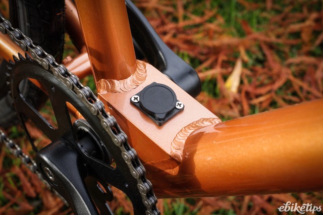 Juicy Bikes Ticket -6.jpg