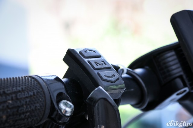 Panda M Drive -15.jpg