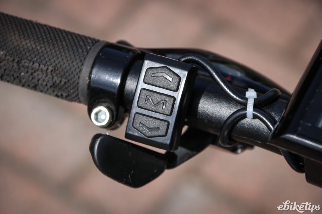 Panda M Drive -23.jpg