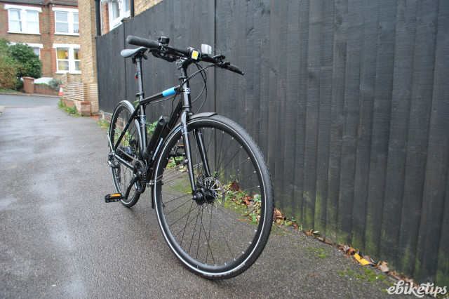 Revolutionworks Whippet front.JPG