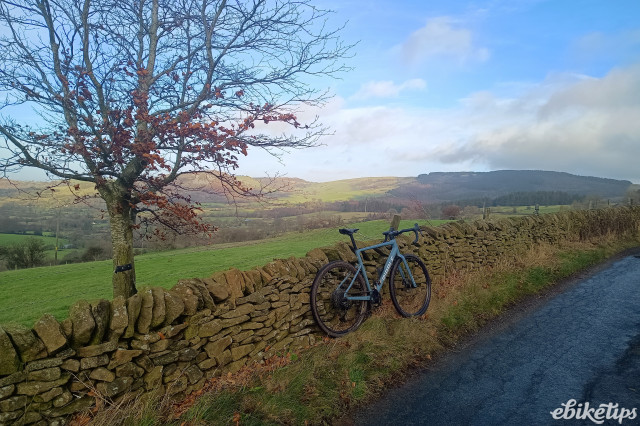 Ribble Allgrit E AL wall tree.jpg