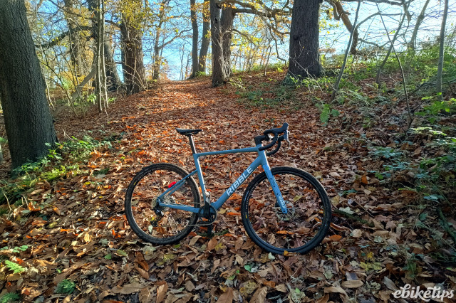 Ribble Allgrit E AL woods.jpg