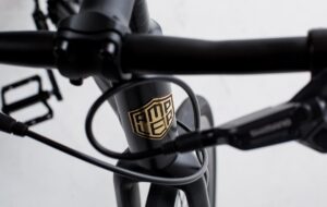Ampler Hawk head tube.jpg