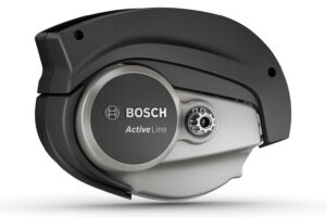 Bosch 2018 -2.jpg