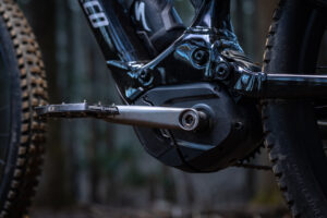 Cane Creek Electric Wings 1