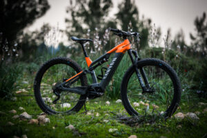Canyon Neuron ON e-bike.jpg