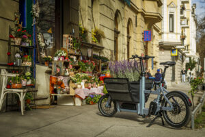 Carlos V1 street