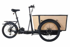 DAHON e cargo