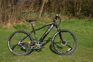 Dallingridge Coniston 2.JPG