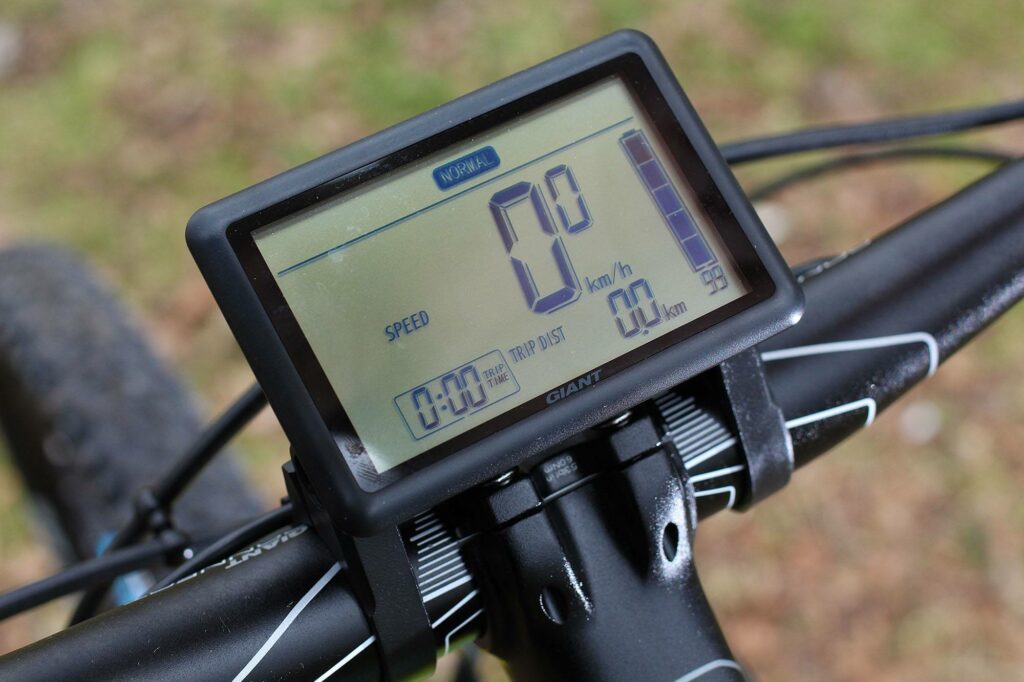 Giant Dirt E +2 - head unit