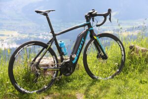 Giant Road E+ 1 - horn 3.jpg
